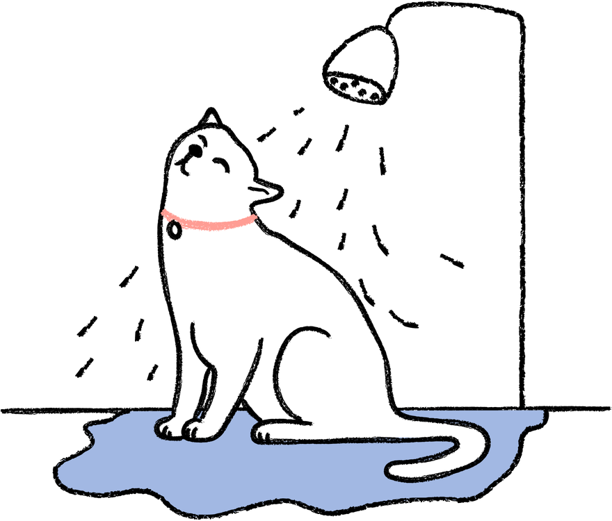 MP_Shower_Cat_1