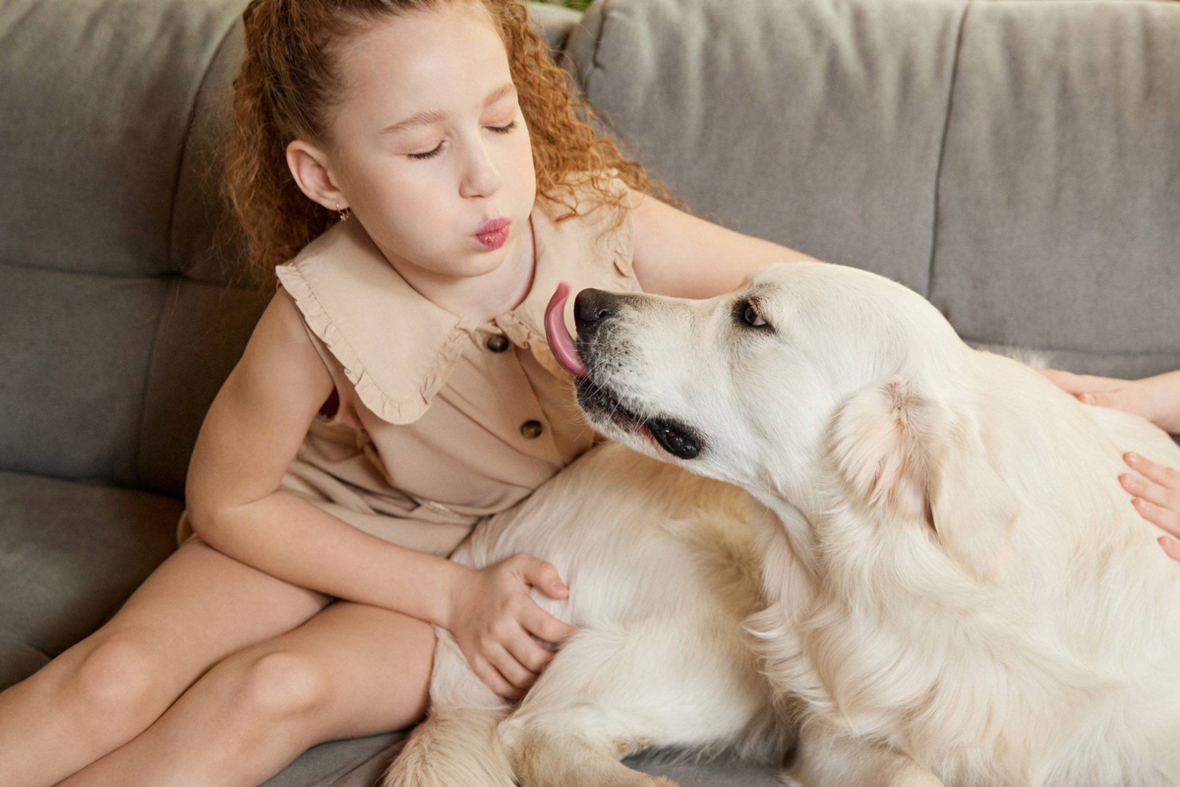 Two young girls and a golden retriever sitting on a grey couch