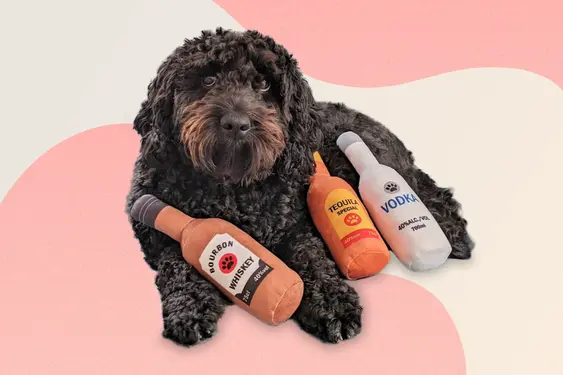 Vodka, Bourbon And Tequila Bottle Soft Dog Toy, by Dolly’s