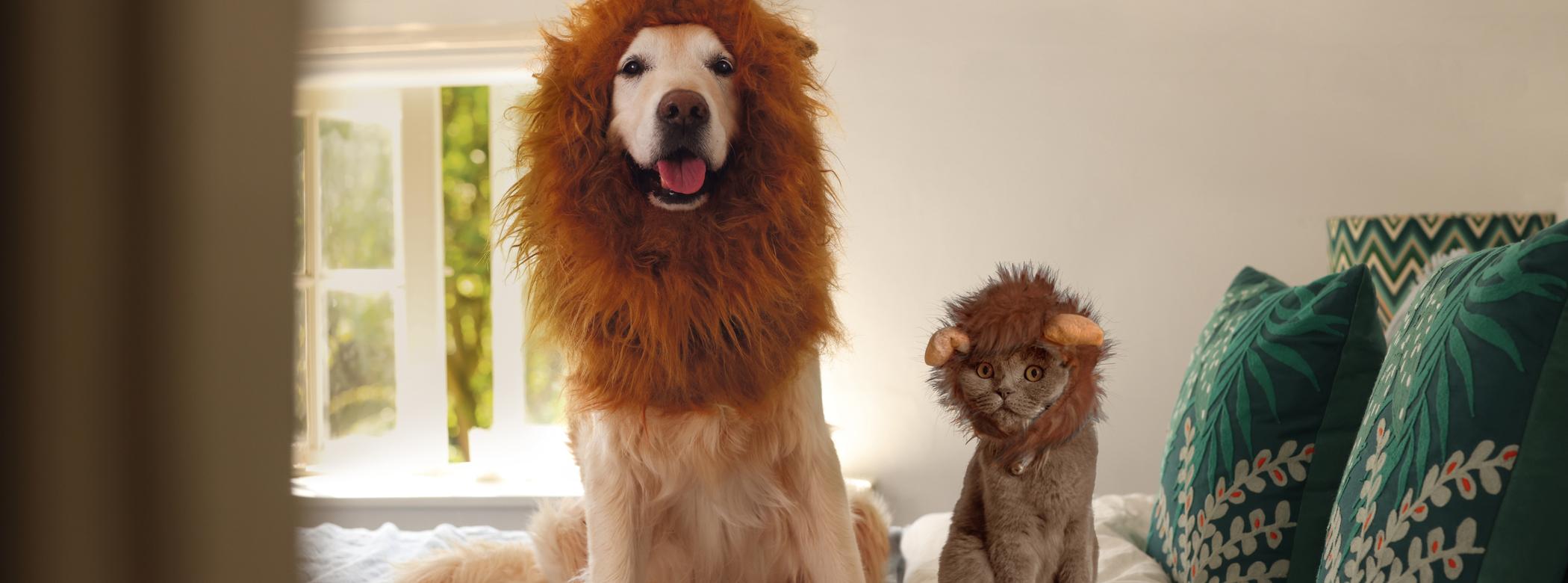 Image of a cat and a dog on a bed
