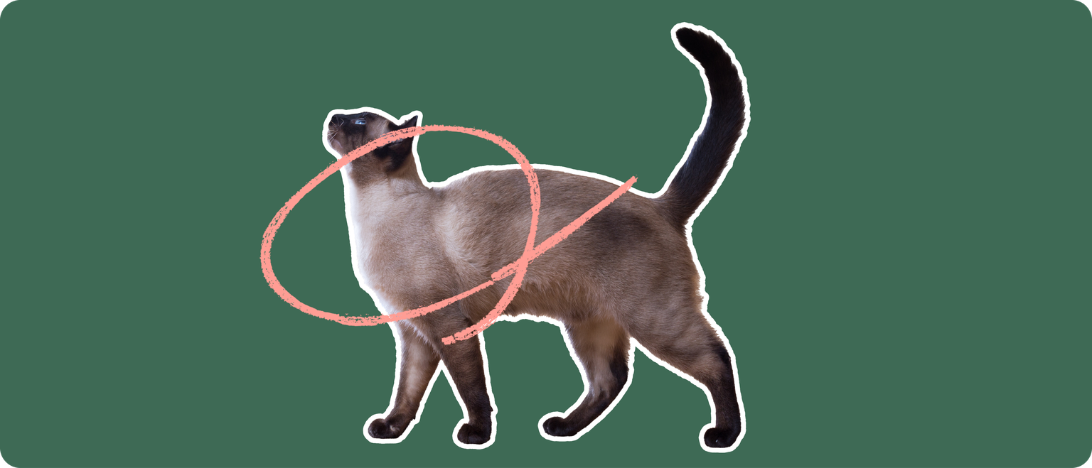 Siamese