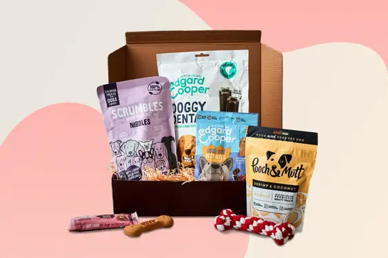 Petite Pooch Gift Box, by The Handmade Christmas Co.