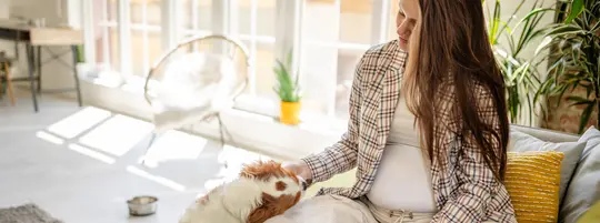 A pregnant woman sits on a green couch while she pets her dog