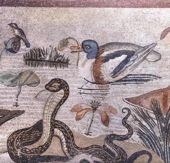 Mosaic featuring a duck, snake and bird in the Nile from Ancient Rome found in Pompeii