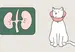 cats and kidney disease