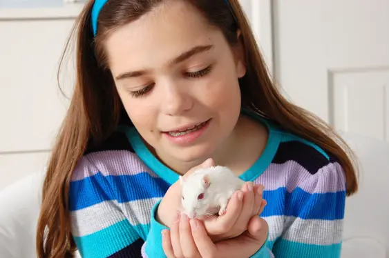 A child with her pet gerbil