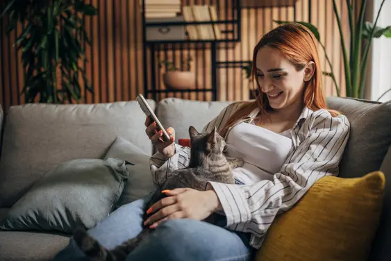 Grey, striped cat sitting in their owner's lap staring at their face