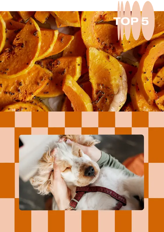 no