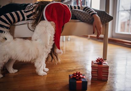 A woman in a Santa Hat lies down hungover, her dog is sniffing her to see if she's okay