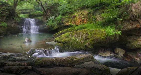 Image of a waterfall in the Brecon Beacons in a thick forest