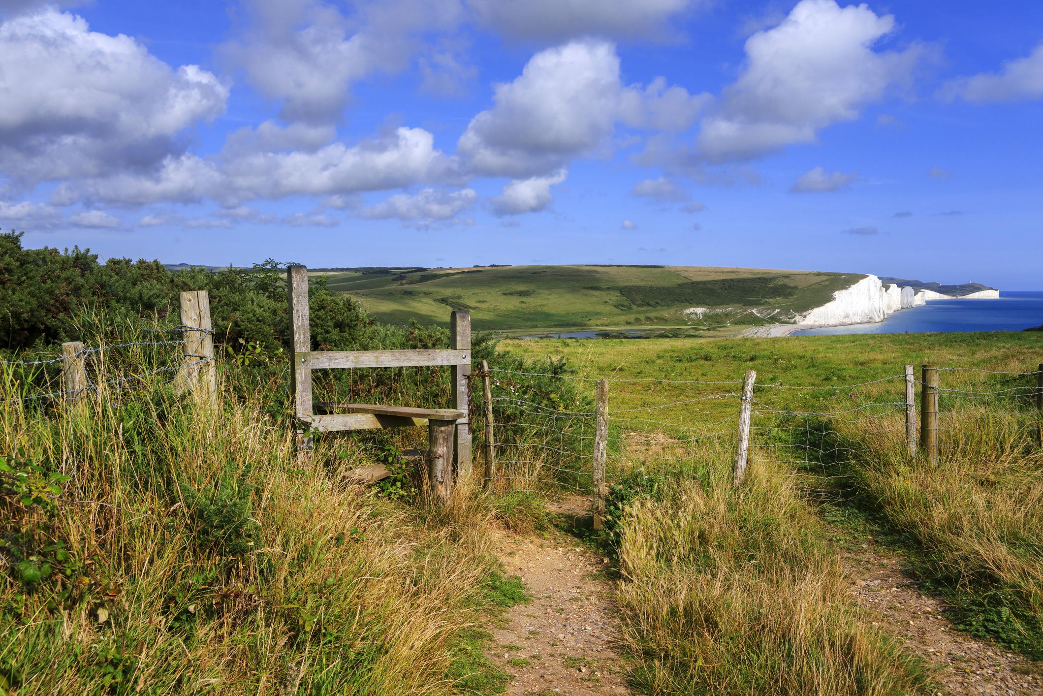 Image of a path in the South Downs on a bright day