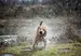 Wet dog shaking off the rain