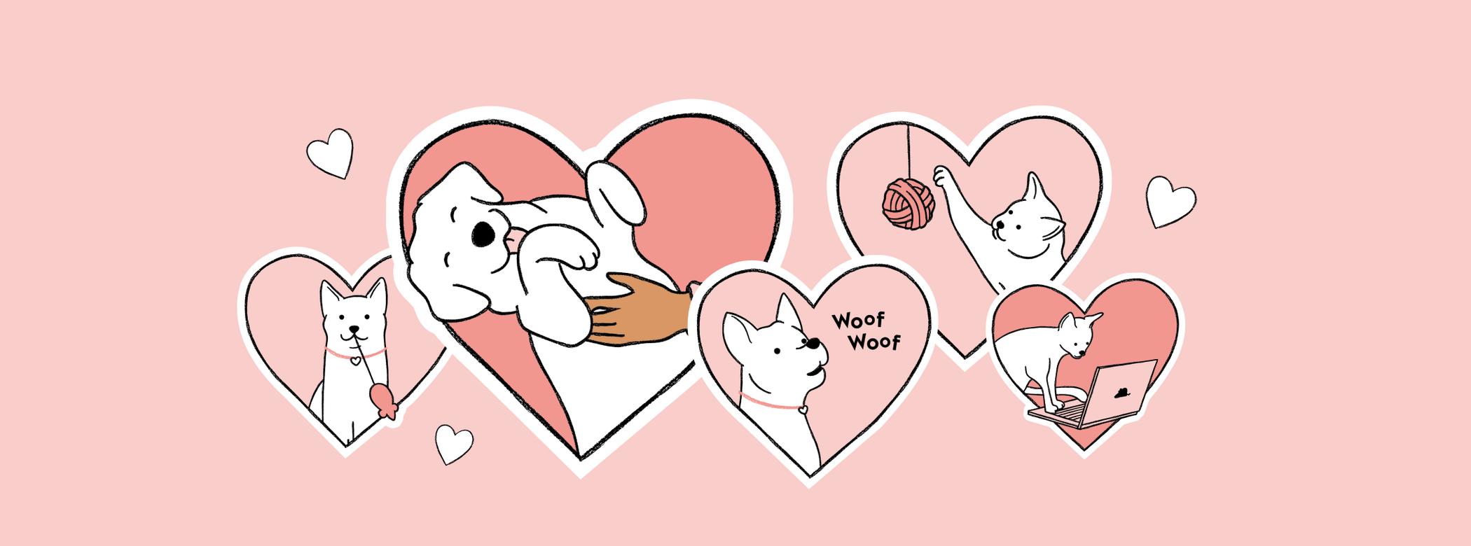pet love languages
