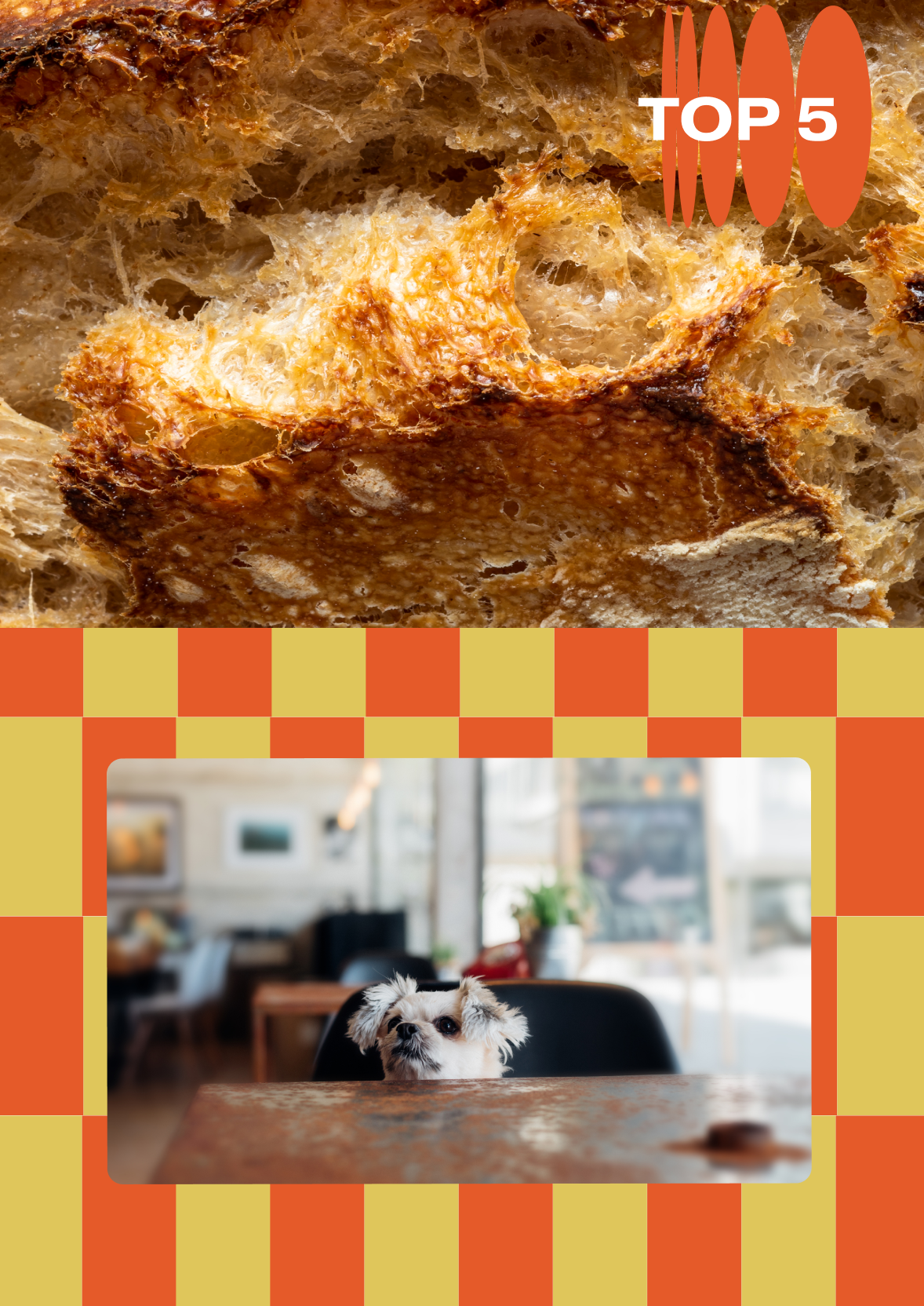 To the top, we have a close up of crusty bread. To the bottom, on a yellow and orange checkerboard background, there's a photo of a small dog peeking over the top of a cafe table.