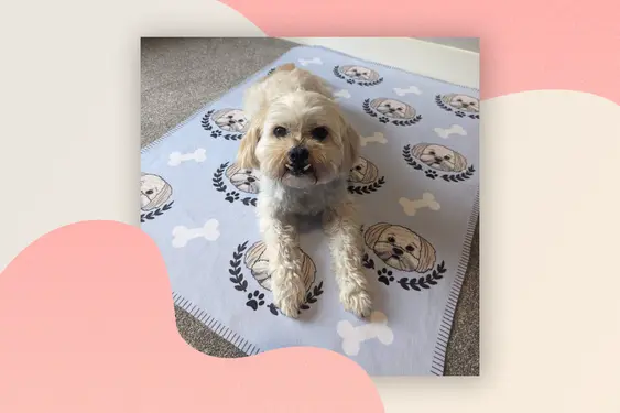Ulti Mutt Repeat Personalised Pet Blanket, by Syd&amp;Co