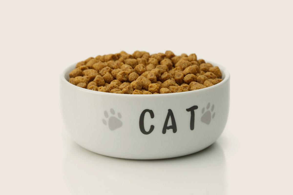 cat food