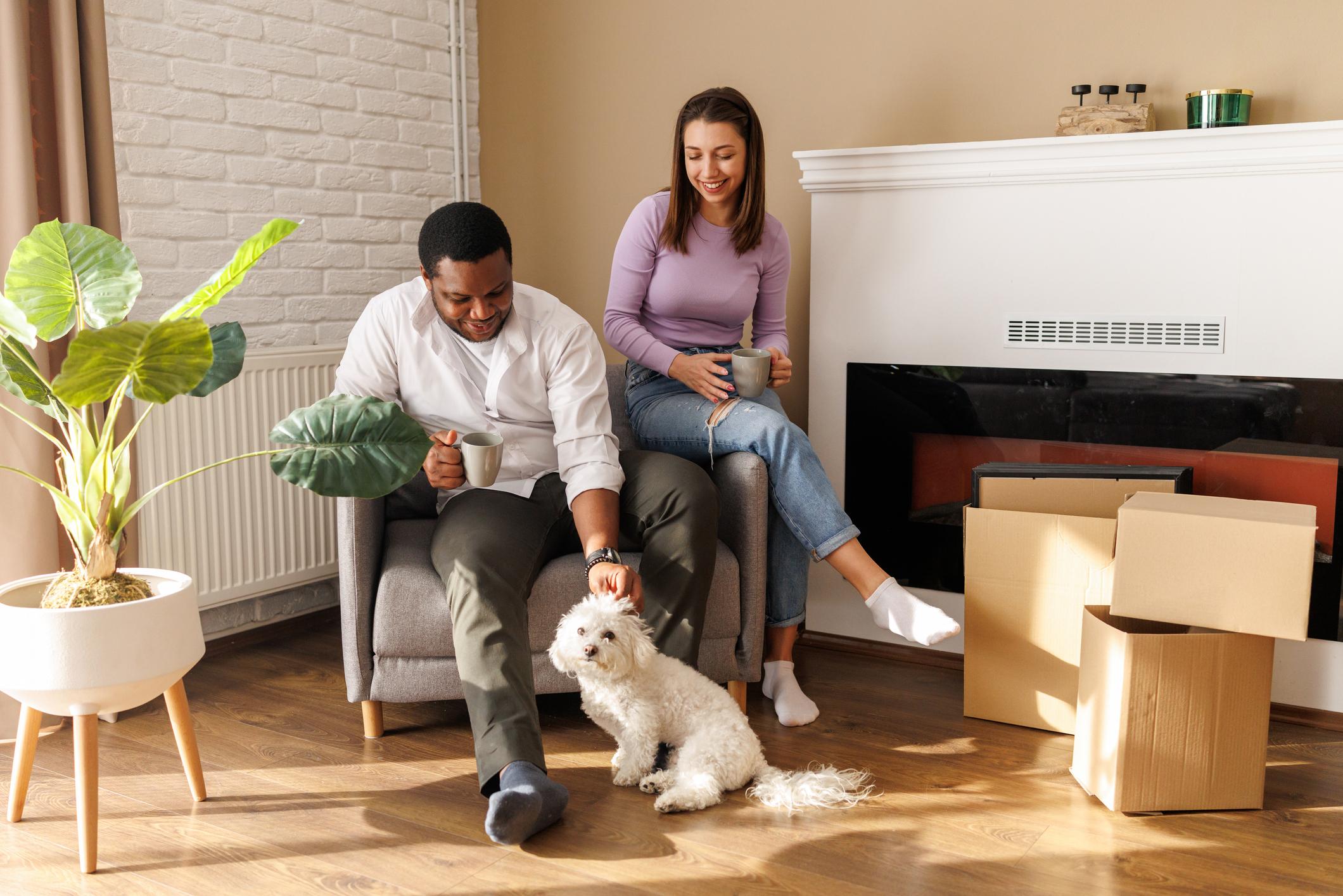 A couple sits on a chair by a fireplace with a small white dog, unpacking boxes in their new home. A potted plant is nearby.
