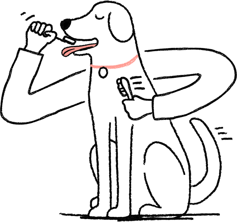 Dog being cleaned