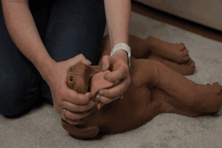woman holds dummy dog's mouth open and demonstrates clearing the airway during a choking incident