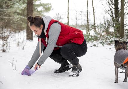 Image of a woman picking up poop in the snow
