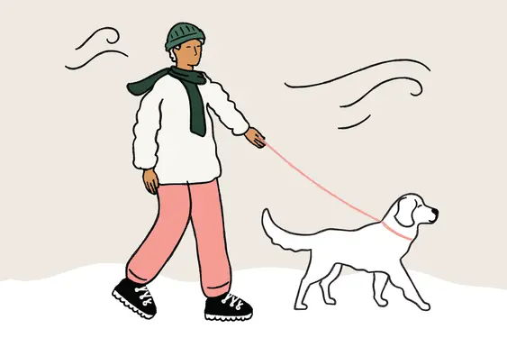 Drawing of a man walking his dog in winter