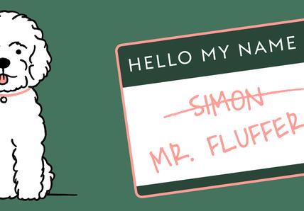A drawing of a fluffy white dog is presented alongside a name tag. The name tag says "Hello My Name Is" printed at the top. Below, the name 'Simon' is crossed out, and below that is the name ‘Mr. Fluffers’.