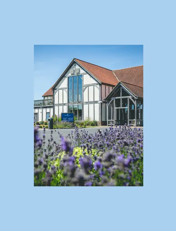 White building with dark wooden beams, with lavender flowers in front of it.