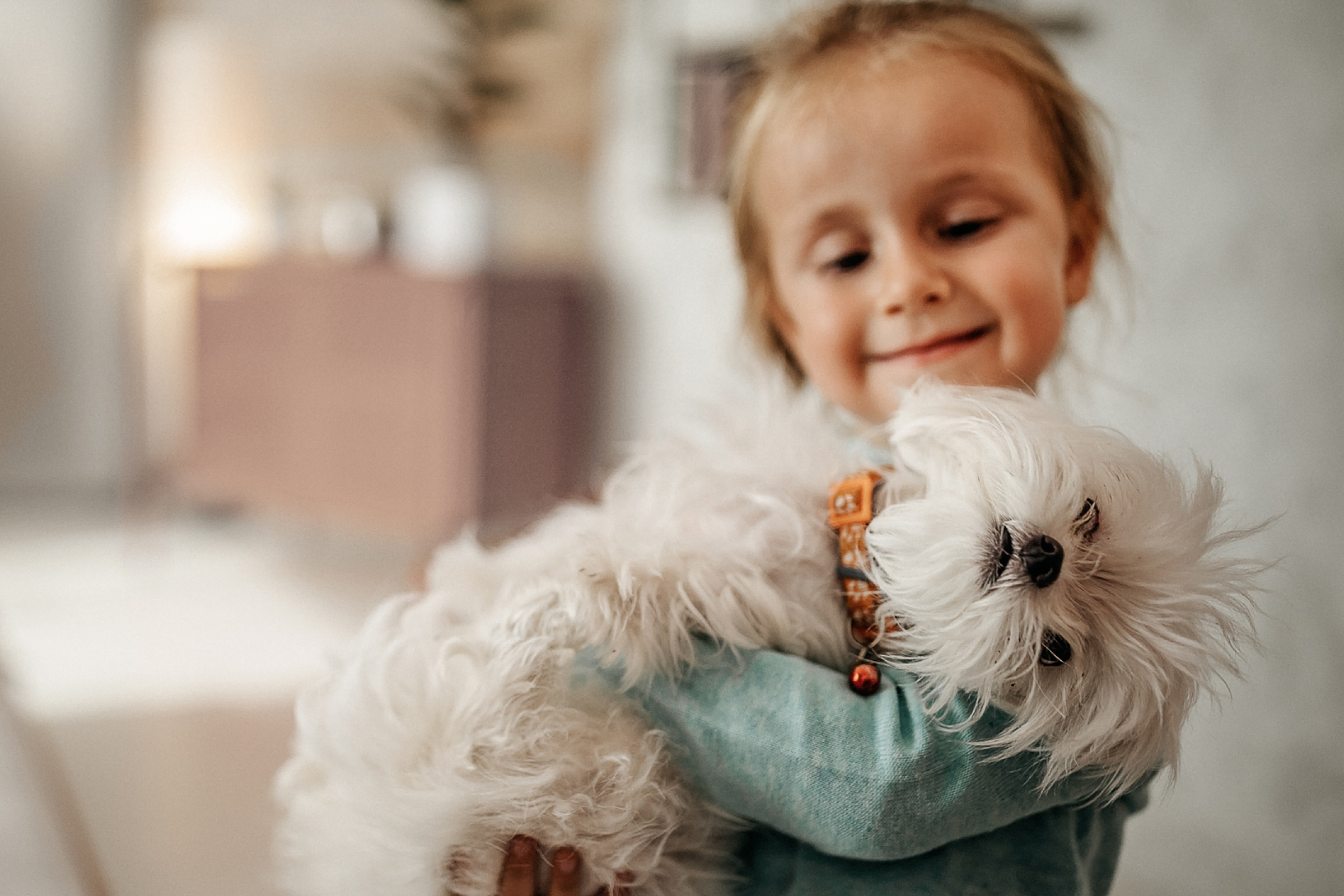 A photograph of a young girl holding a fluffy white dog