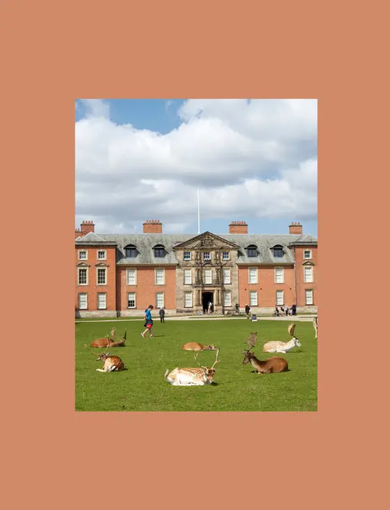 An elegant red brick Georgian manor, Dunham Massey, stands prominently with deer resting peacefully on its vast front lawn under a partly cloudy sky.
