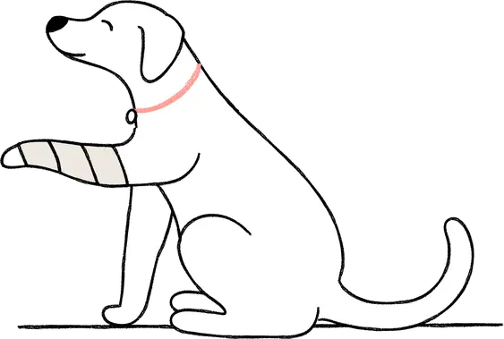 illustration of a dog lifting it's front paw which is wrapped in a bandage