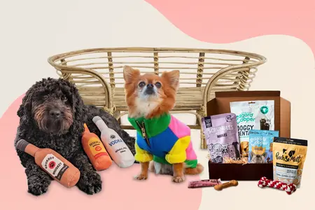 a cluster of doggie Christmas presents