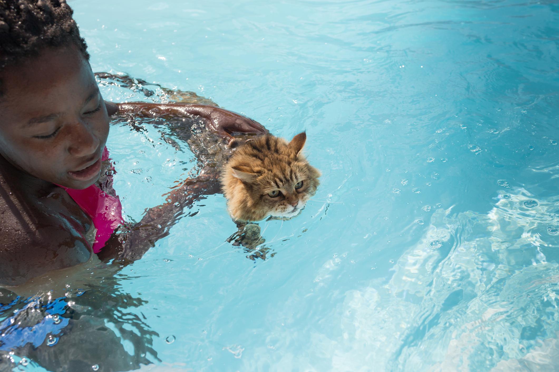 a young girl guiding a cat swimming in a pool