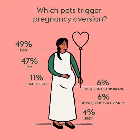 an illustration about what animals trigger pregnancy aversion from 49% dogs to 4% birds