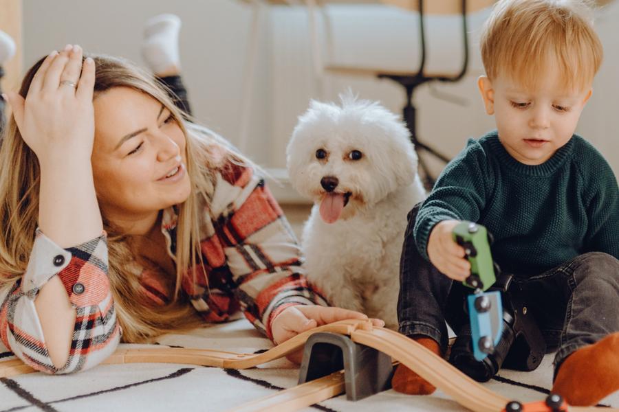 A woman, a toddler, and a small white dog playing with a toy train on a patterned rug.