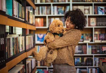 Happy woman with black hair wearing sweater with her goldendoodle therapy dog in library