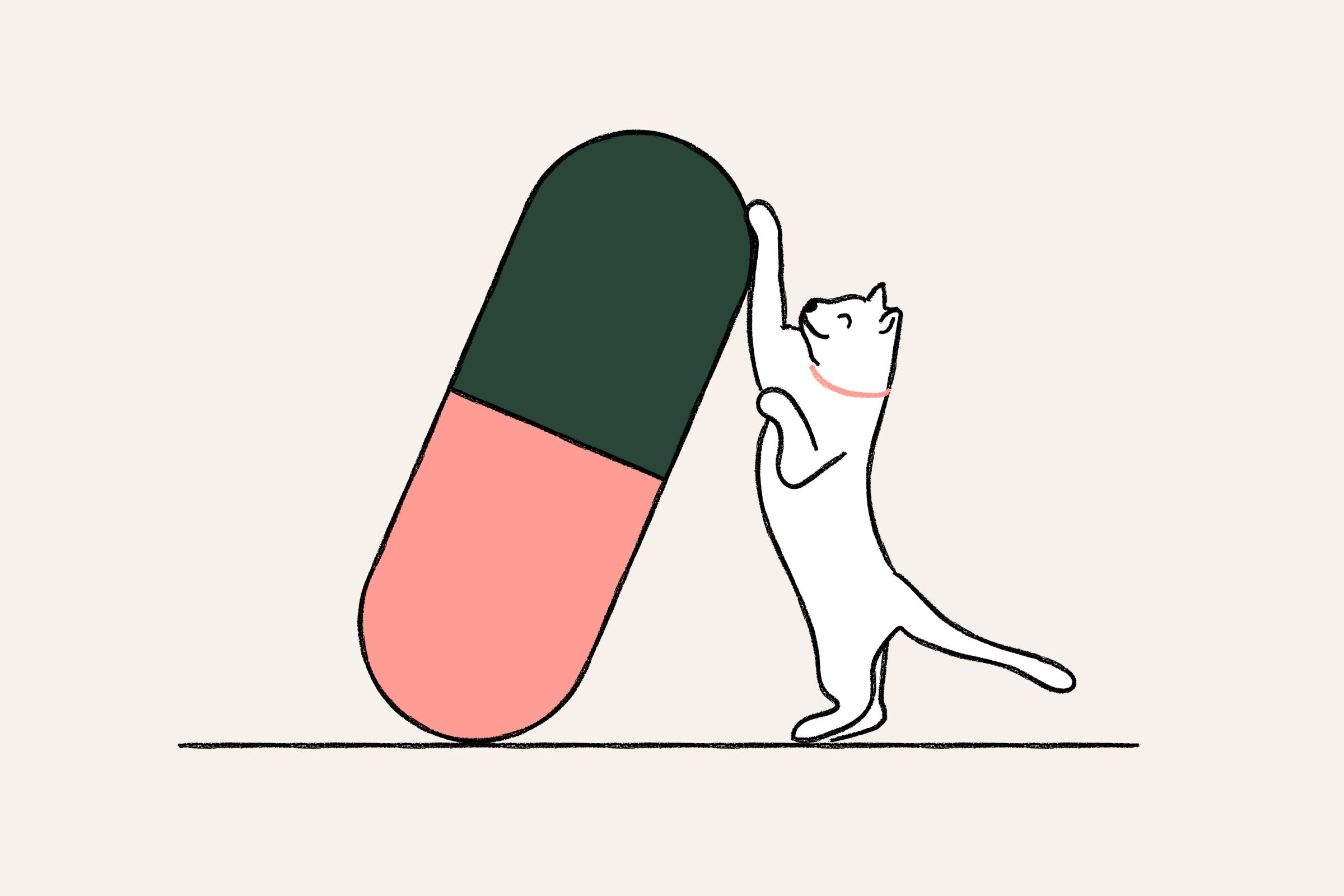 Cats + Vitamins and supplements - Thumb