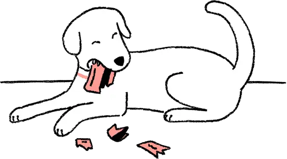 MP_CreditCard_Dog_1