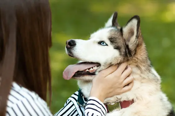 eye contact